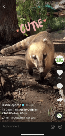 Running ads on TikTok for business