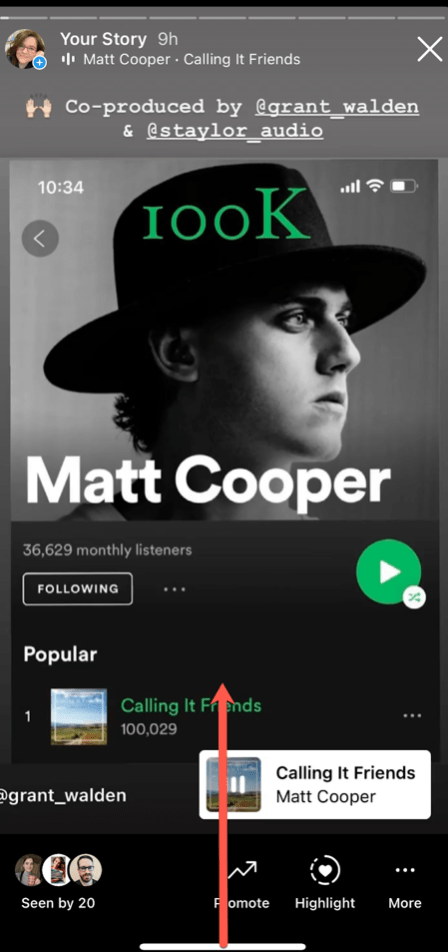 how to see who viewed your Instagram Stories