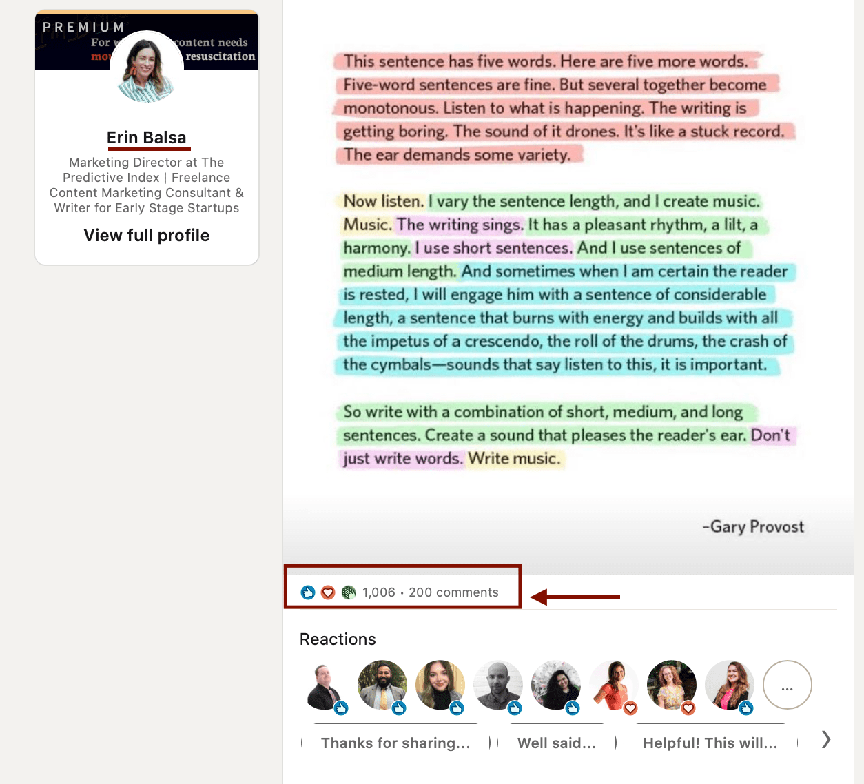 LinkedIn influencer example with Erin Balsa 