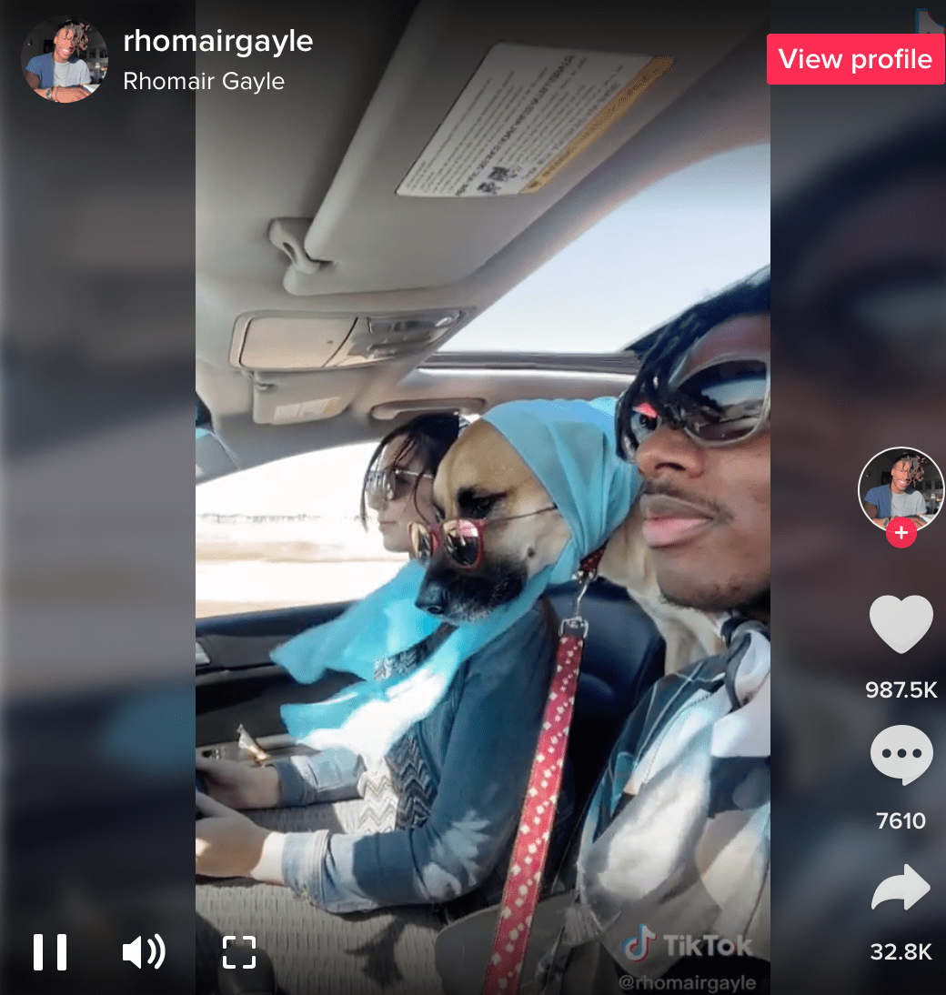 Please Don't Go TikTok followers challenge