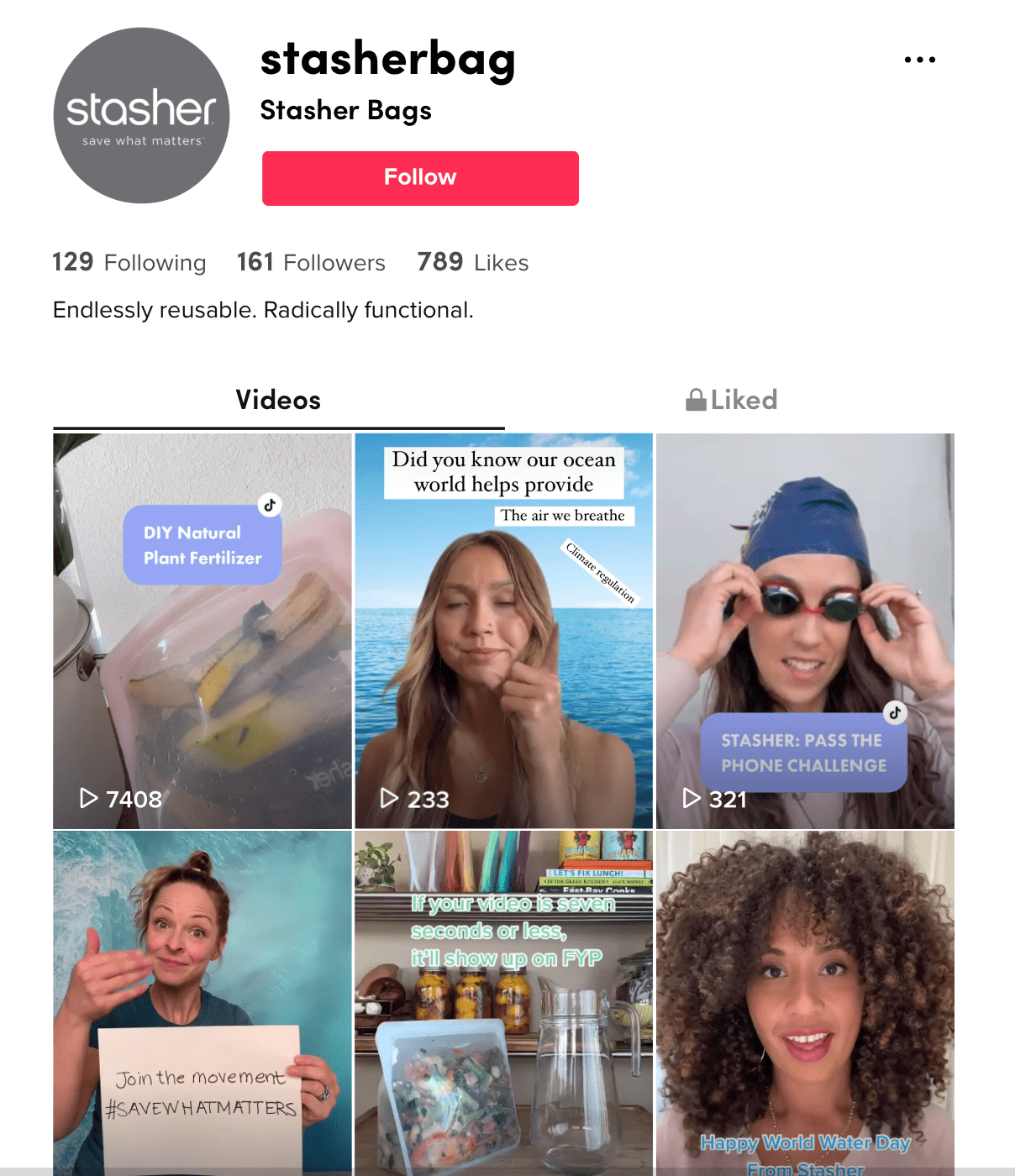 Stasher TikTok followers 