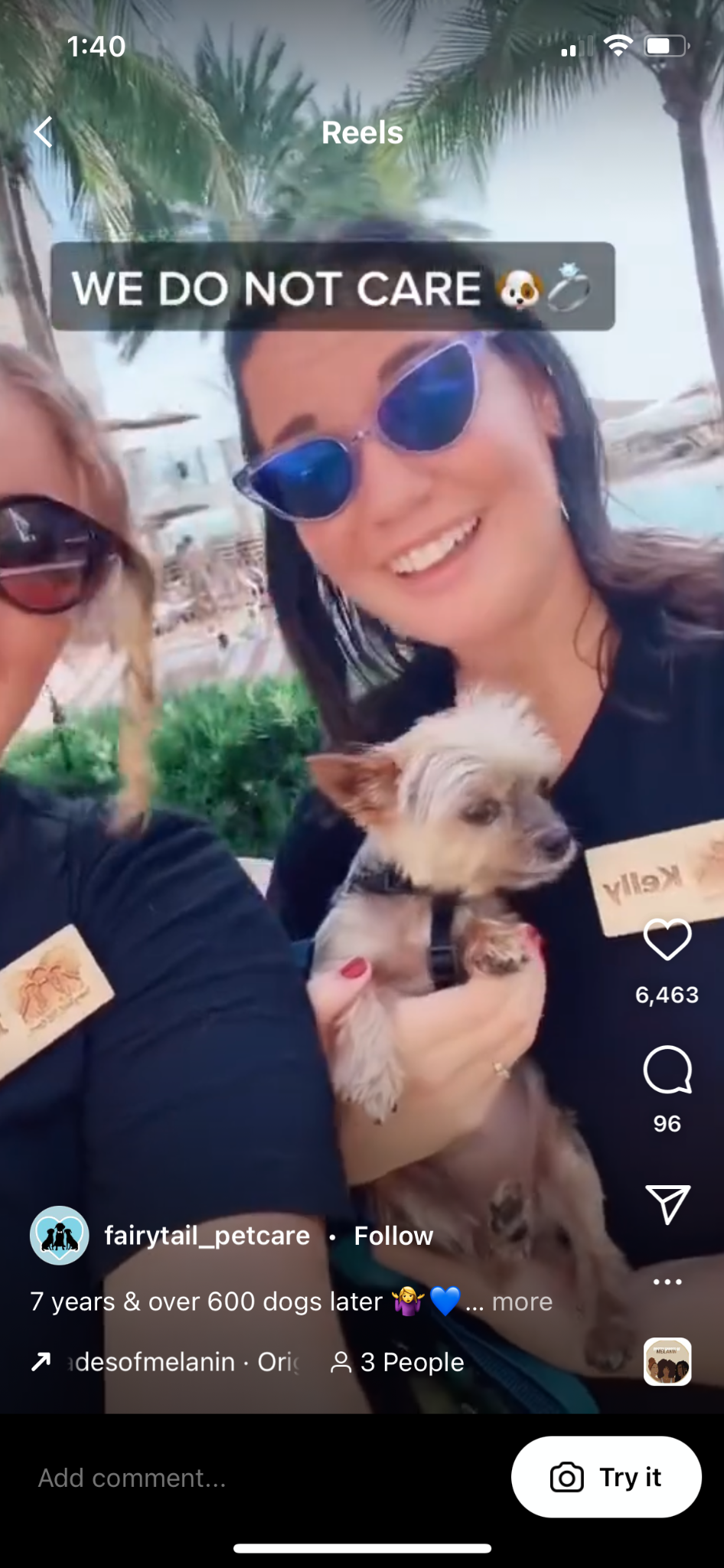 instagram reels example pet care