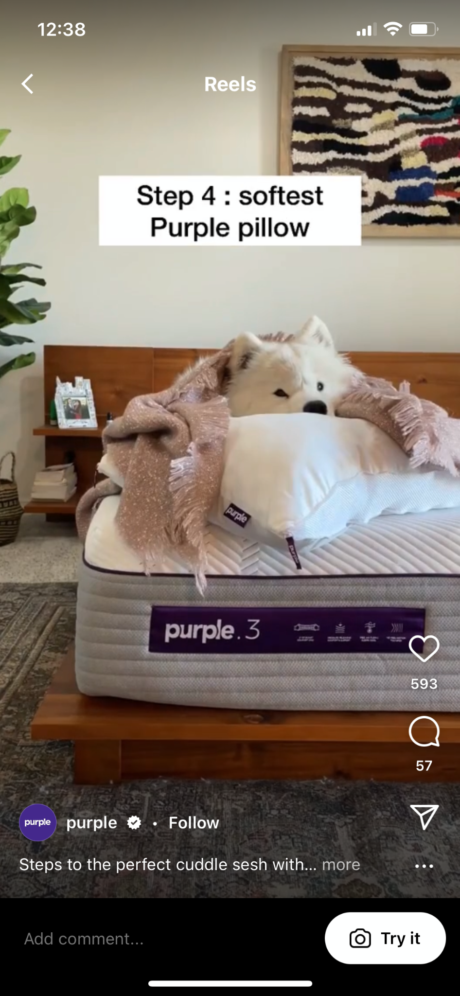 instagram reels example brands