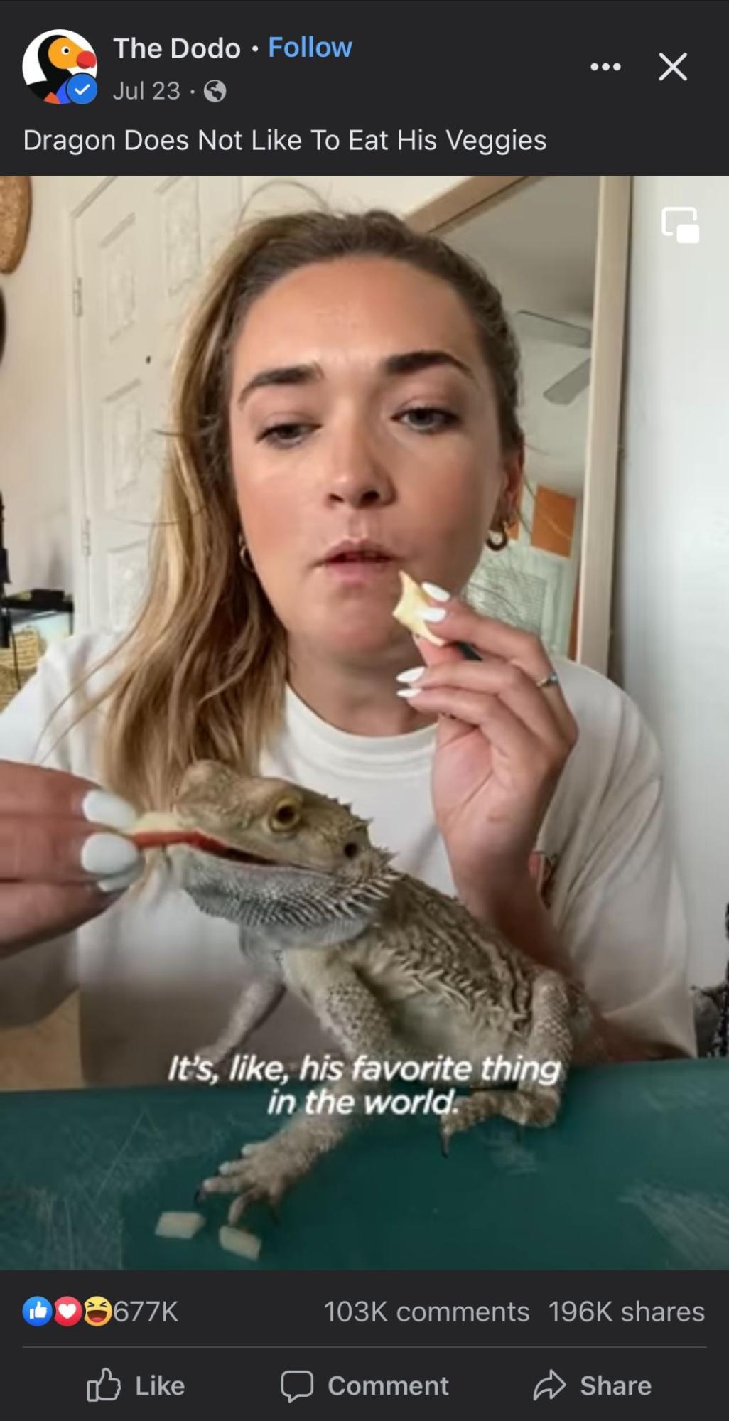 Include captions in your videos 
