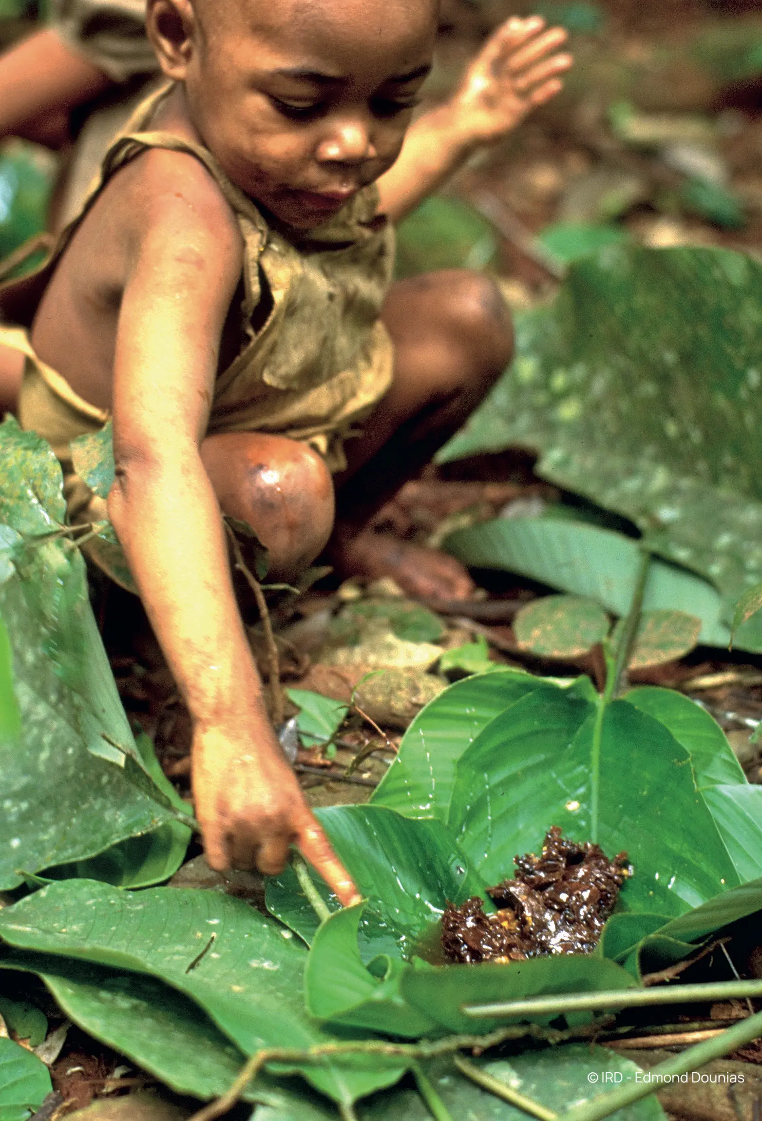 a baby holding a plant