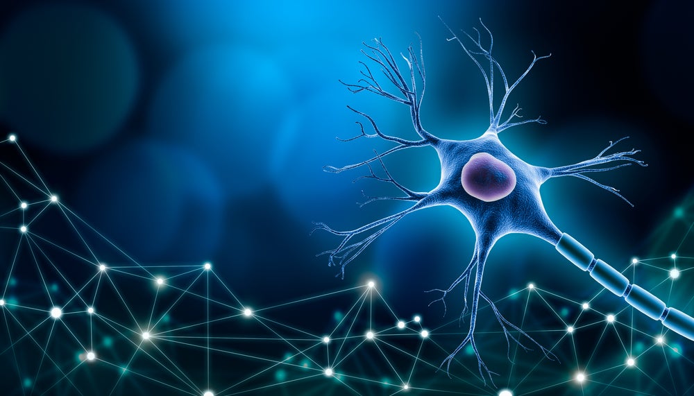 Biological neural network