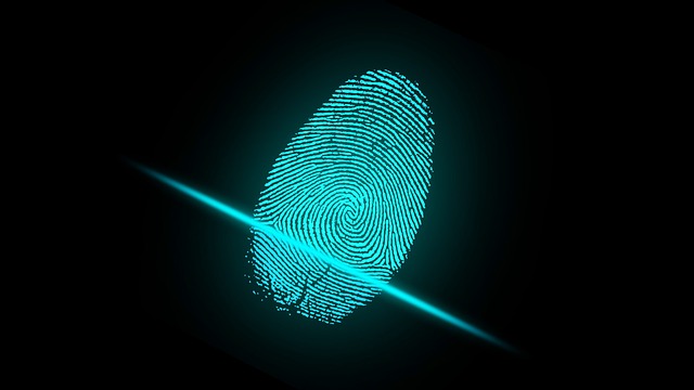 Fingerprint recognition