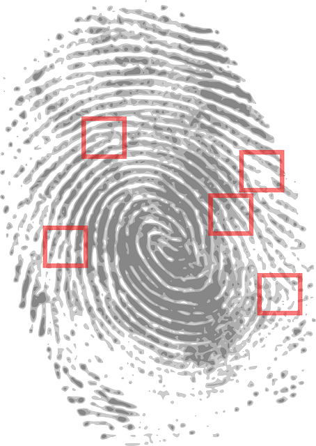 Fingerprint recognition system