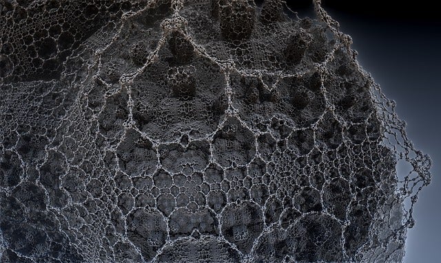 Neural Network