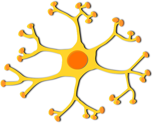 Dendrites