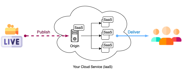 Live Streaming Architecture using SaaS