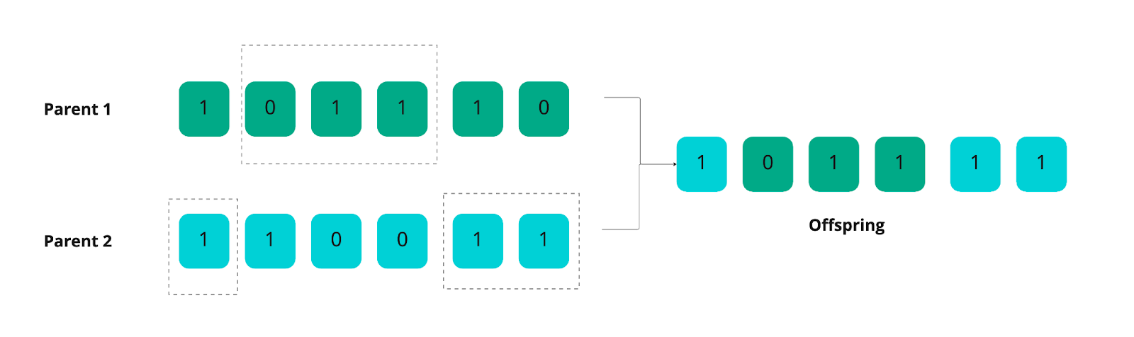 Graph showing genetic information from two parents and one offspring.