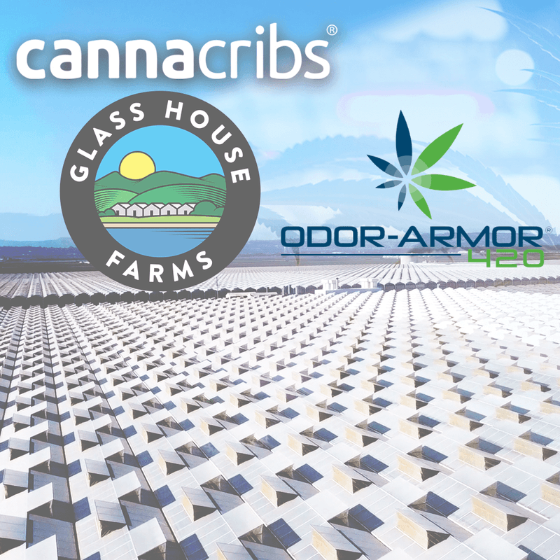 Industrial Odor Control Solutions Benzaco Scientific