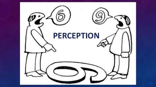 perception
