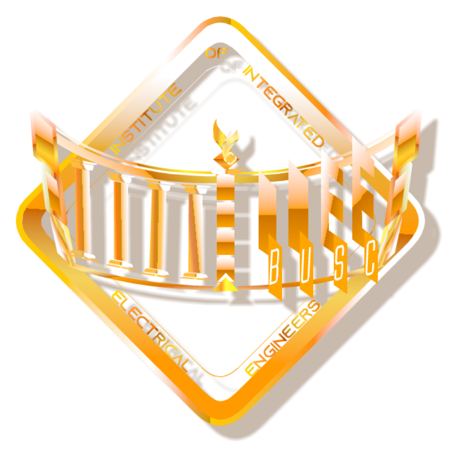 IIEE-BUSC logo
