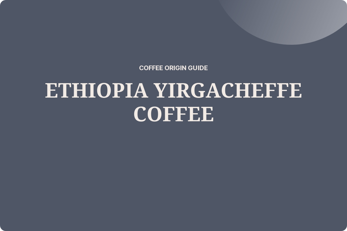 Ethiopia Yirgacheffe Coffee Origin Guide Perfect Extraction