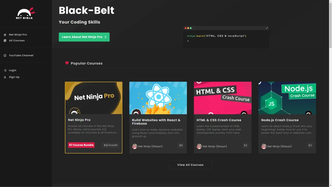 the net ninja website screenshot