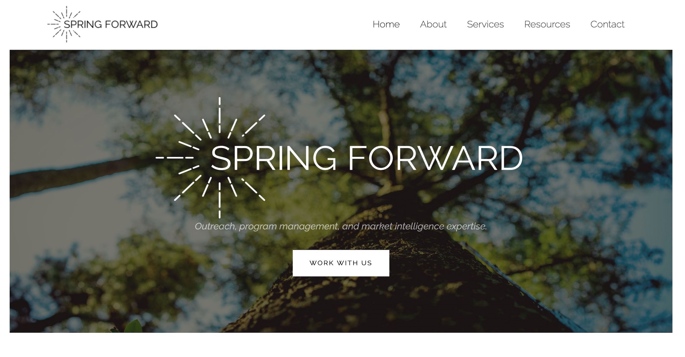 Spring Forward Company Spring Forward LLC