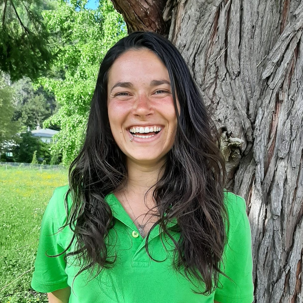 About us Flying Wheels Interlaken Bike Center