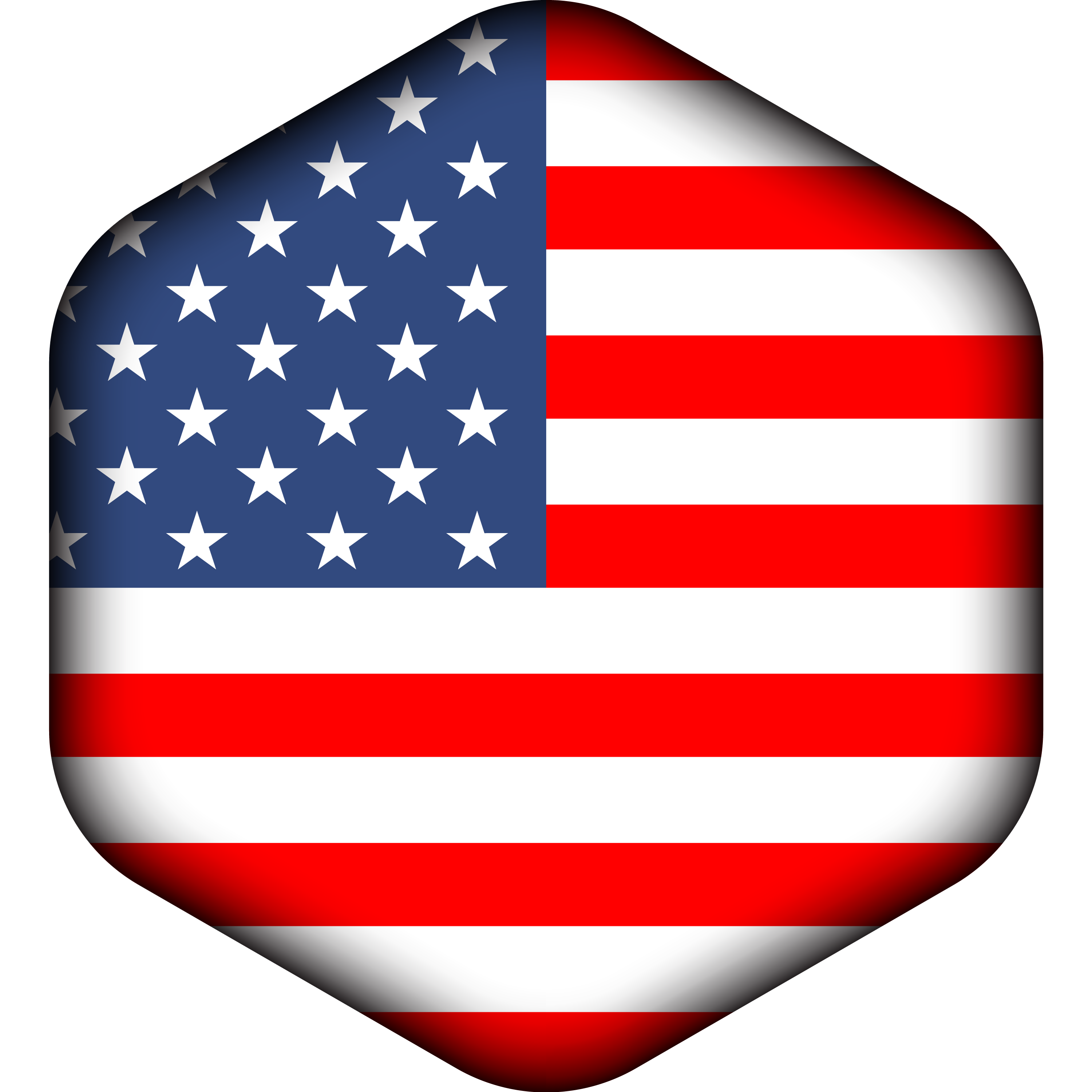 US Flag Logo