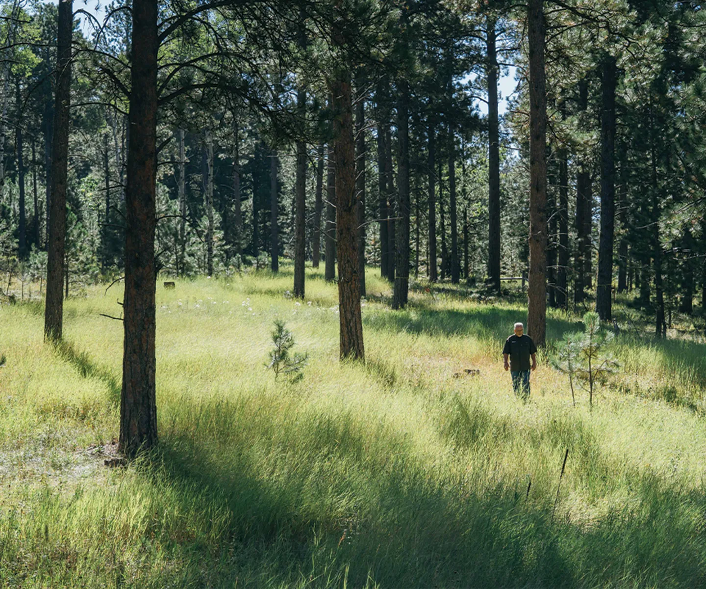 Man walking through the forest