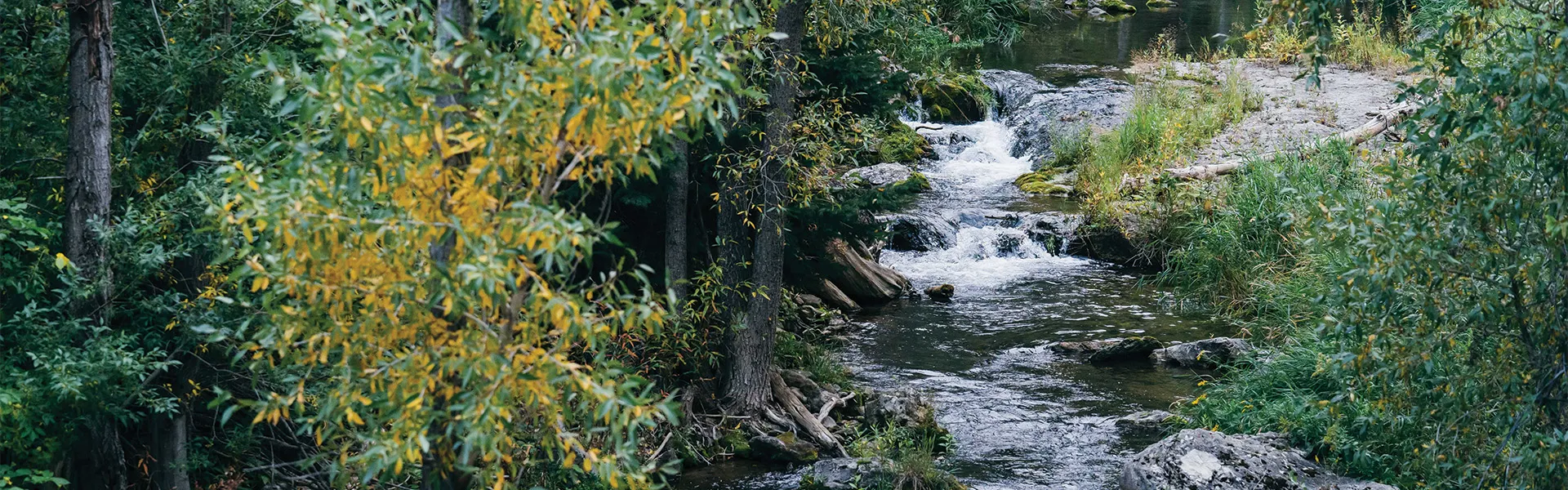 Image of a river flowing