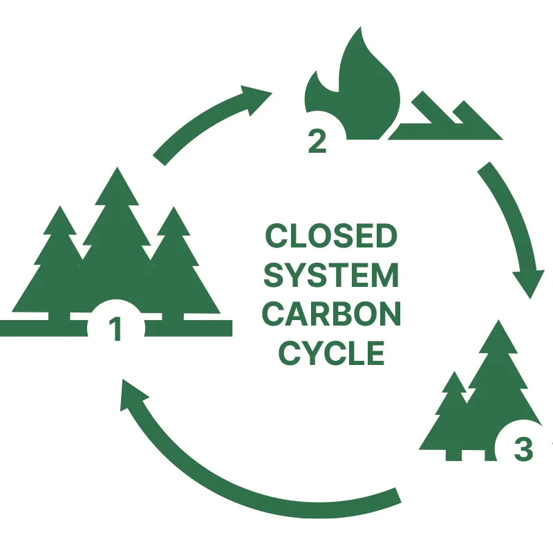 Carbon cycle image