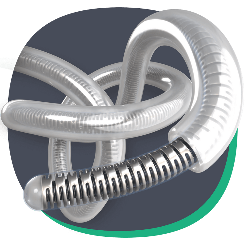 Aristotle 24 Guidewire Scientia Vascular