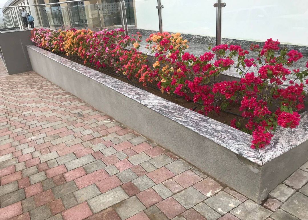Concrete Planter Boxes in Melbourne, Vic Planter Box Builders Cemex
