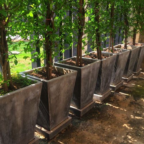 Concrete Planter Boxes in Melbourne, Vic Planter Box Builders Cemex