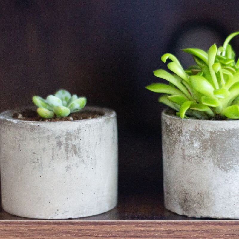 Concrete Planter Boxes in Melbourne, Vic Planter Box Builders Cemex