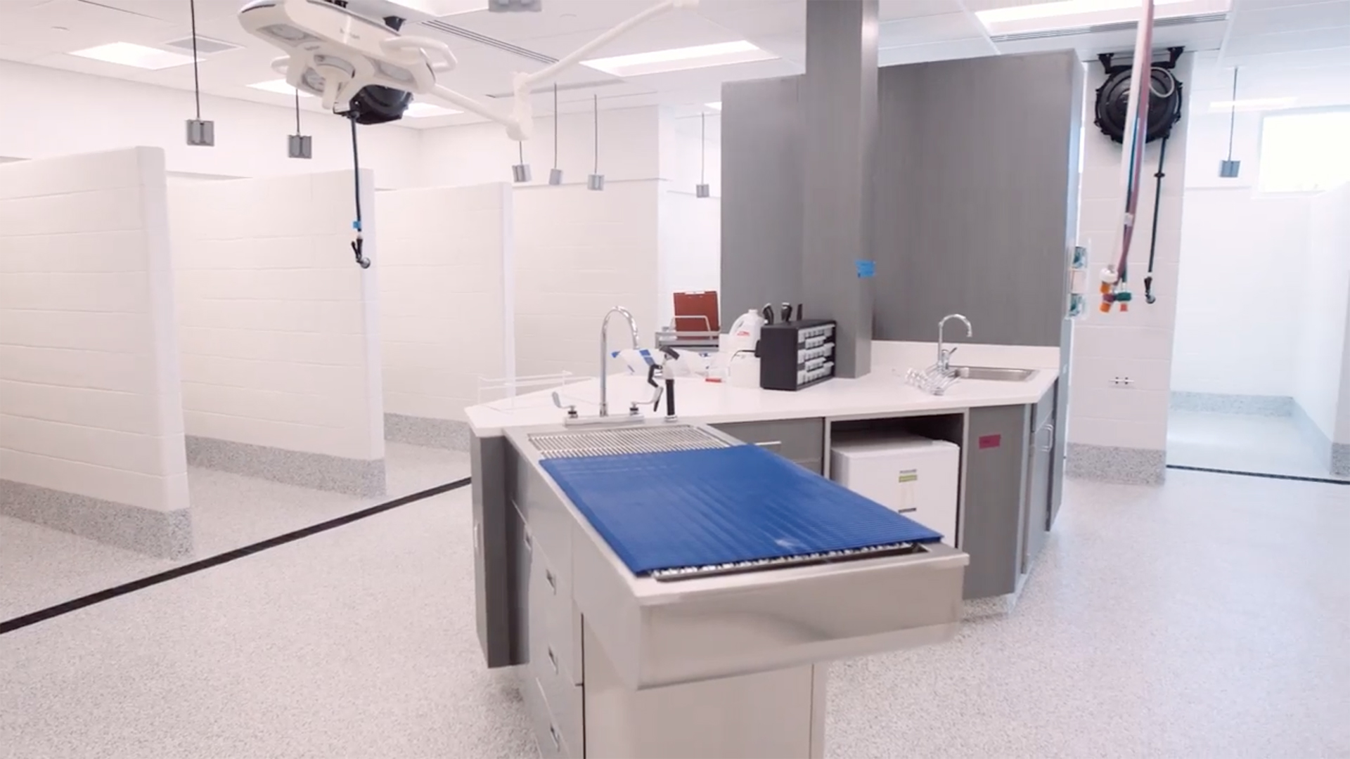 Angell Animal Medical Center Emergency & Critical Care Unit OLSON