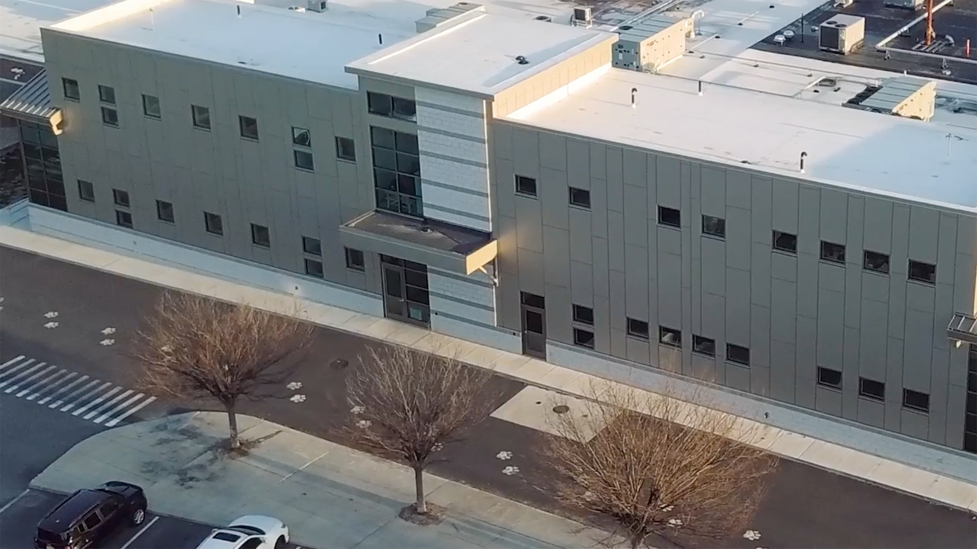 Angell Animal Medical Center Emergency & Critical Care Unit OLSON