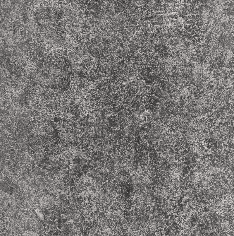 Eramosa Limestone STONEarch