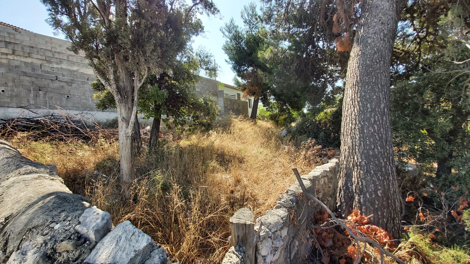 Photo du chantier : aménagement d'un terrain