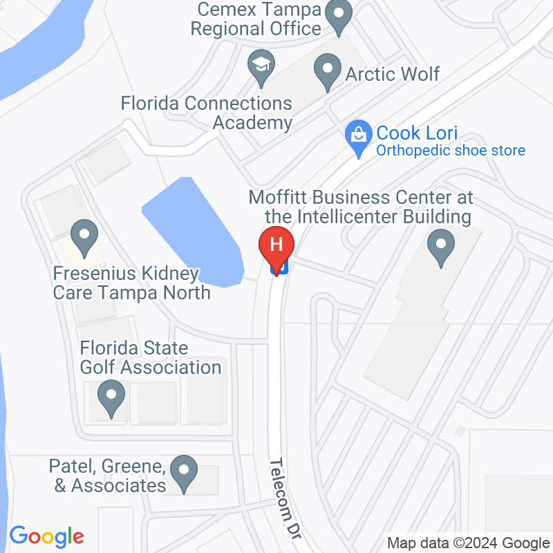 Fresenius Medical Care North Tampa - 12674 Telecom Dr