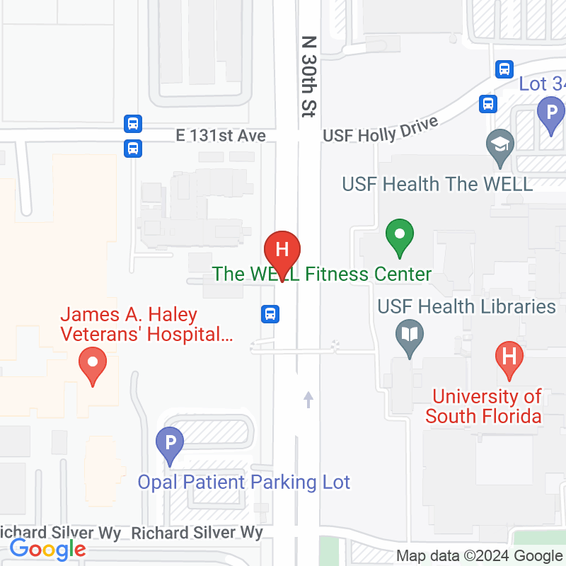 James a Haley VA Hospital - 13000 Bruce B Downs Blvd