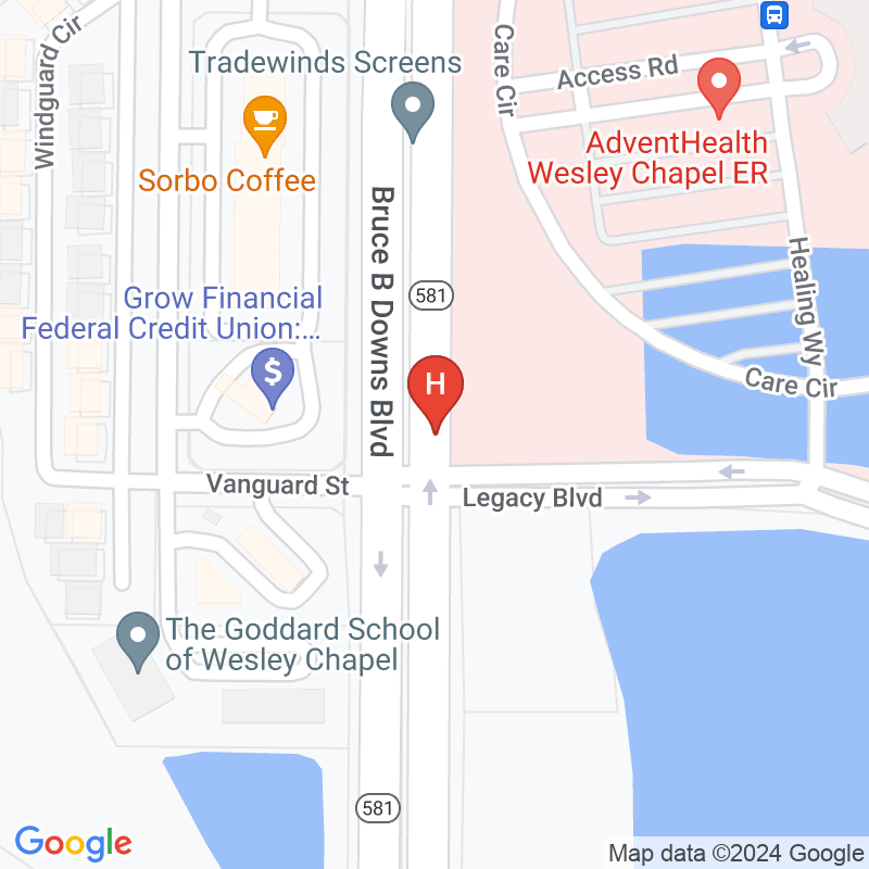 Adventhealth Wesley Chapel - 2600 Bruce B Downs Blvd