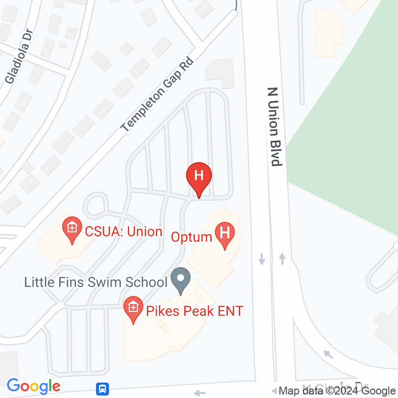 Pikes Peak Endoscopy & Surgery Center Llc - 1699 Medical Center Pt