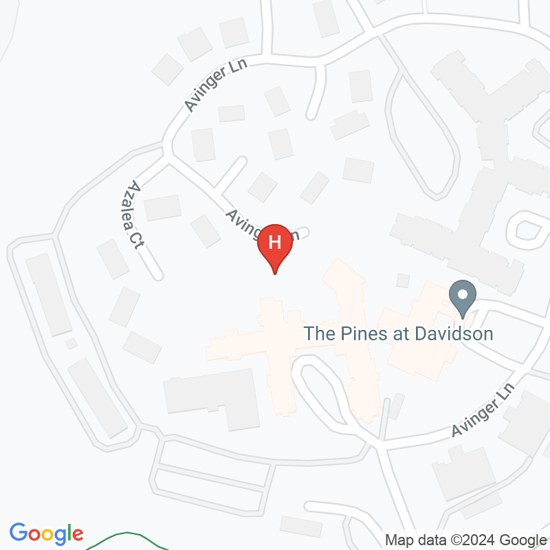 The Pines at Davidson Hidell Nursing Center - 400 Avinger Ln