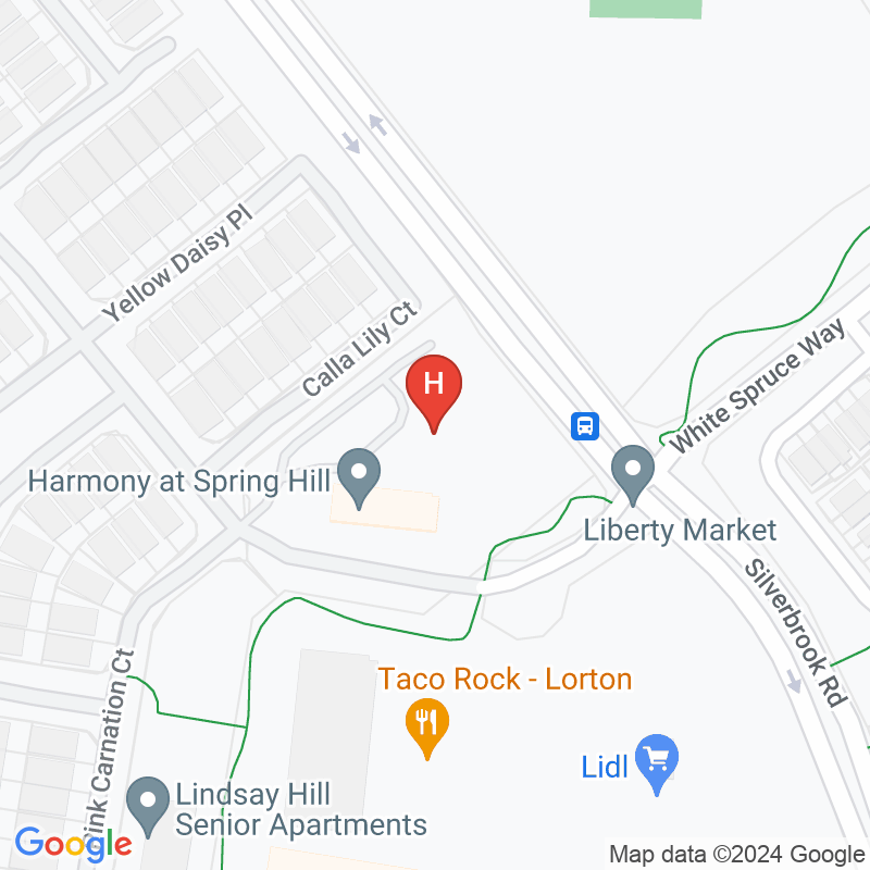 Harmony at Spring Hill - 8350 Mountain Larkspur Dr, Lorton, VA 22079