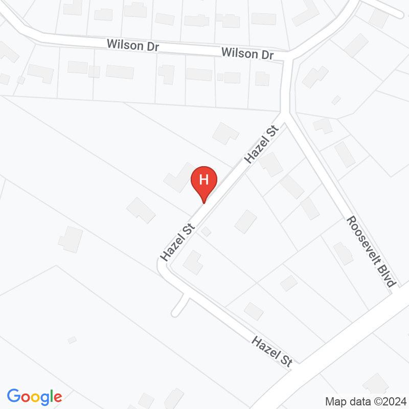 The Atlas DOM - 155 Hazel st