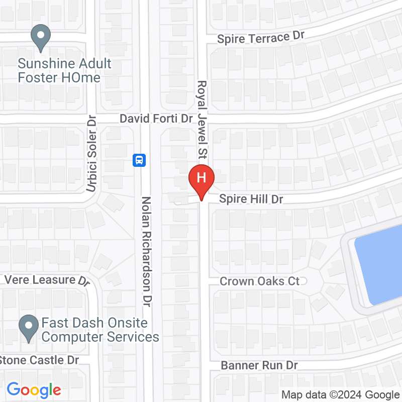 Nursemind Home Care Inc - 3157 Royal Jewel St