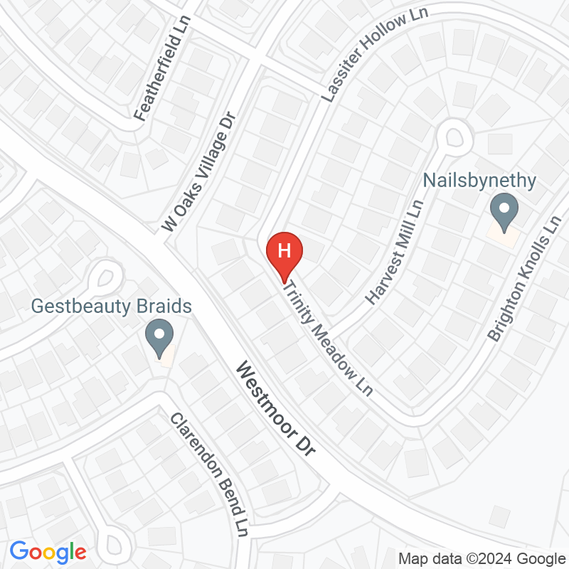 St Patrick Home Health Services - 17639 Trinity Meadow Ln