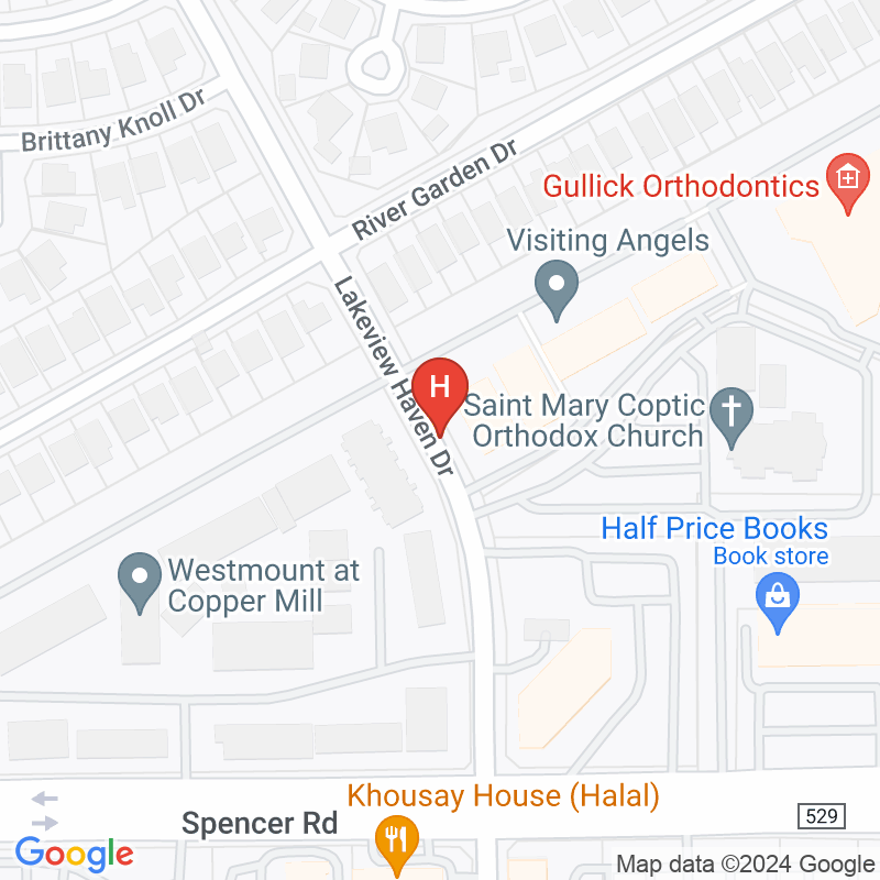 Niche Home Health Services Inc - 7066 Lakeview Haven Dr Ste 125B