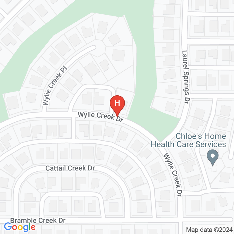 Alive Home Health Care Inc - 1701 Wylie Creek Dr