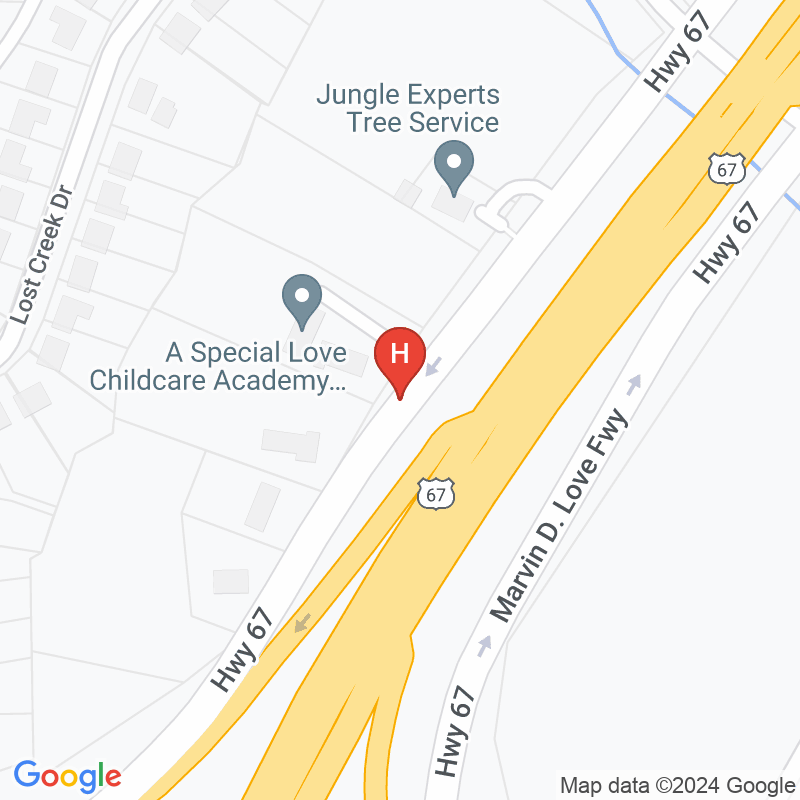 The Comforter Healthcare Services - 4121 Marvin D Love Fwy Ste 1000