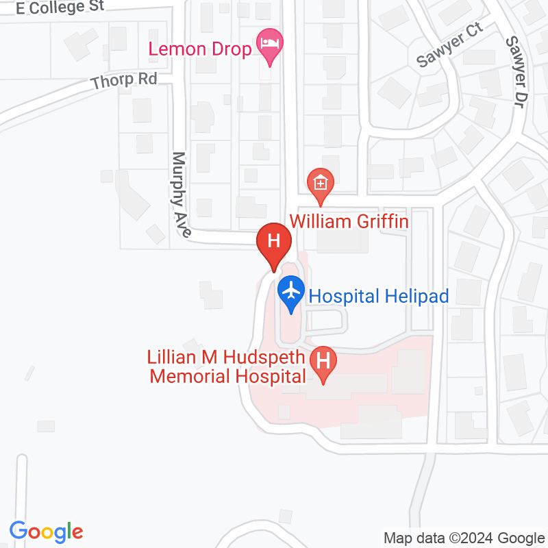 Alvis F Johnson Home Health and Hospice - 308 Hudspeth St