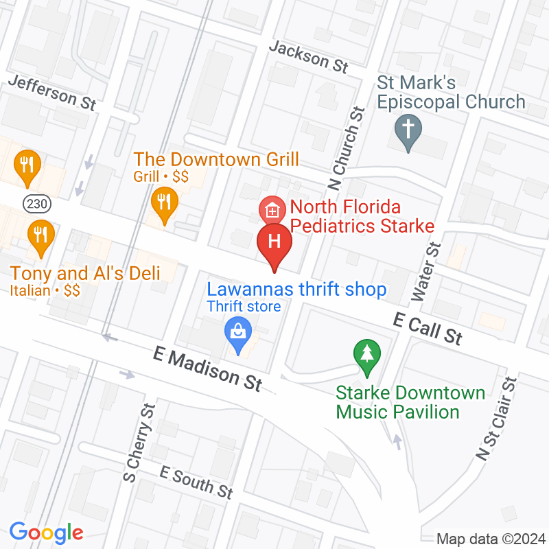 North Florida Pediatrics Pa - 417 E Call St
