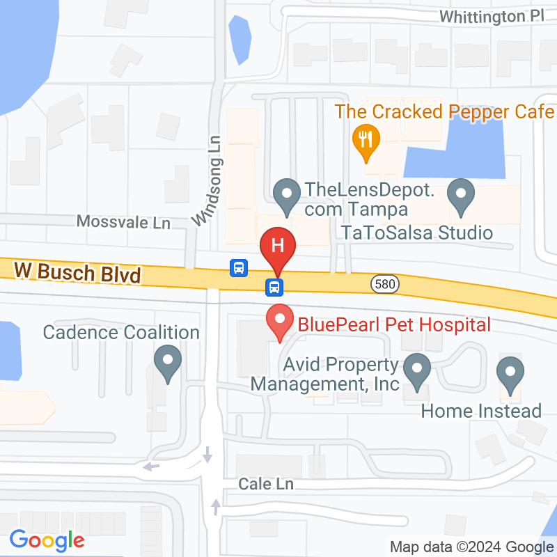Discovery at Home Gulf Coast - 2901 W Busch Blvd Ste 407